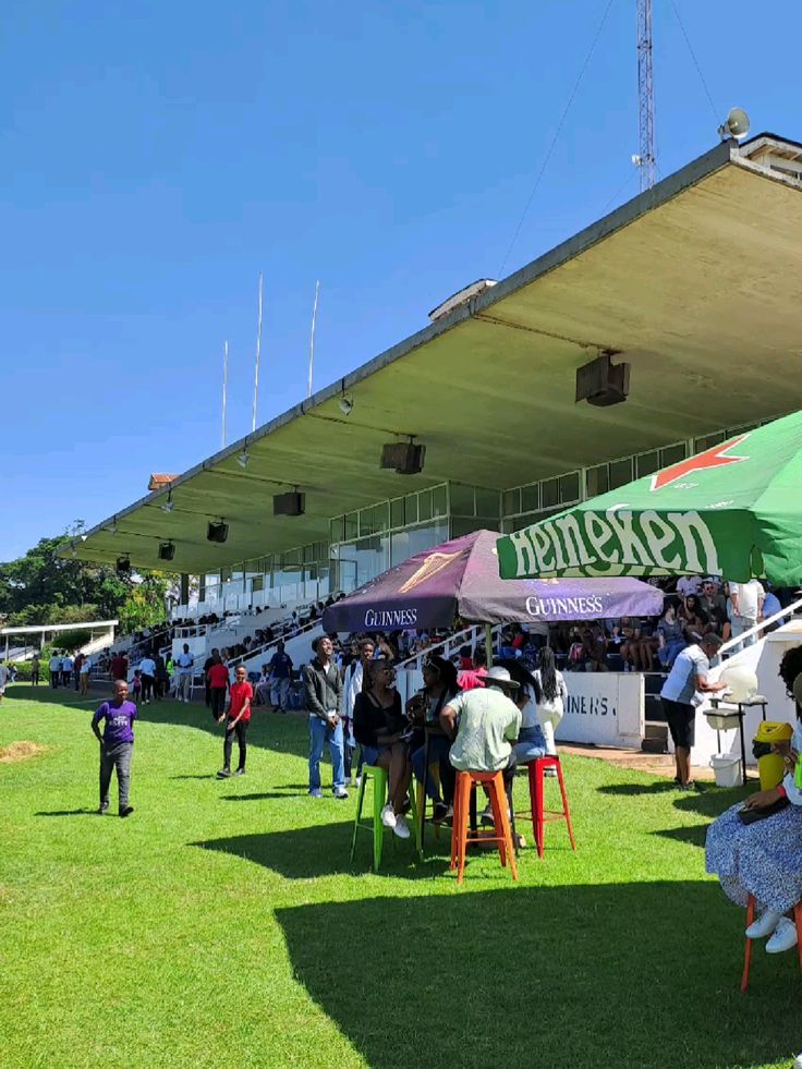 Guests enjoying a LimboFest production